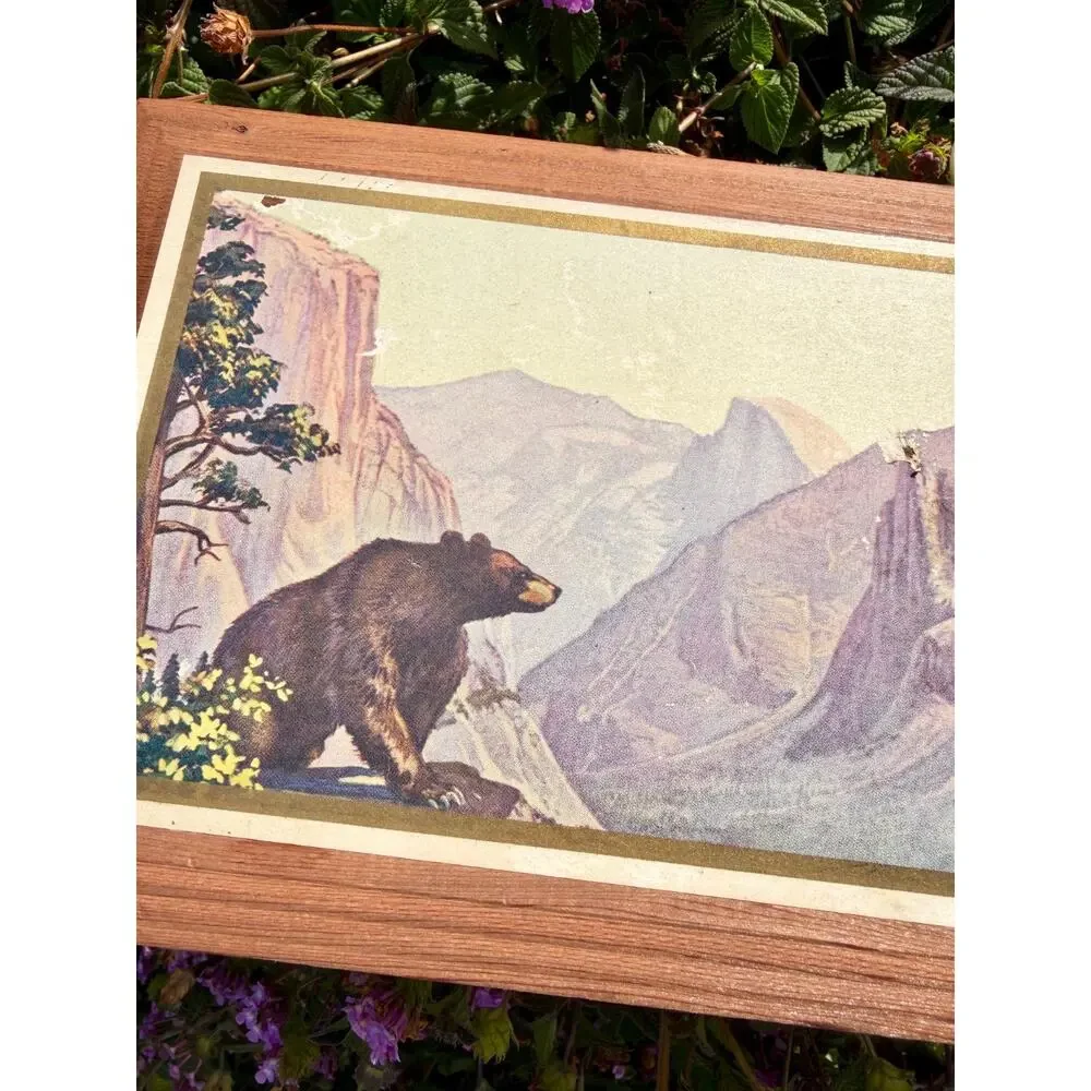 1930s Vintage Lyons California Glace Fruit Wood Box Yosemite Bear Advertising